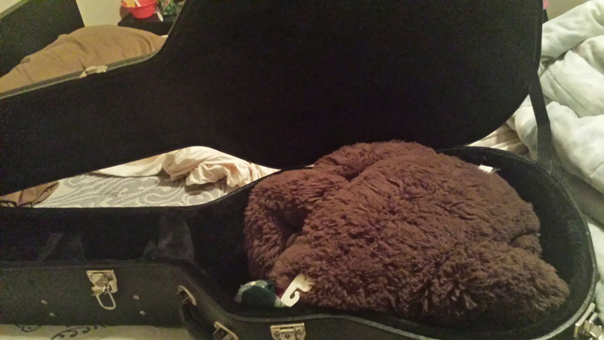 20160106_192606.jpg image