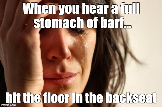 What Does Your Road Trip Sound&nbsp;Like?