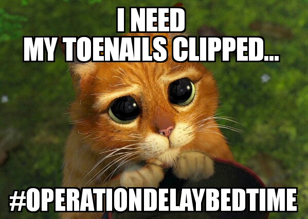 #operationdelaybedtime 